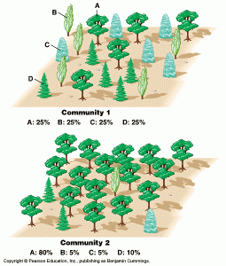 Diversity and Richness
